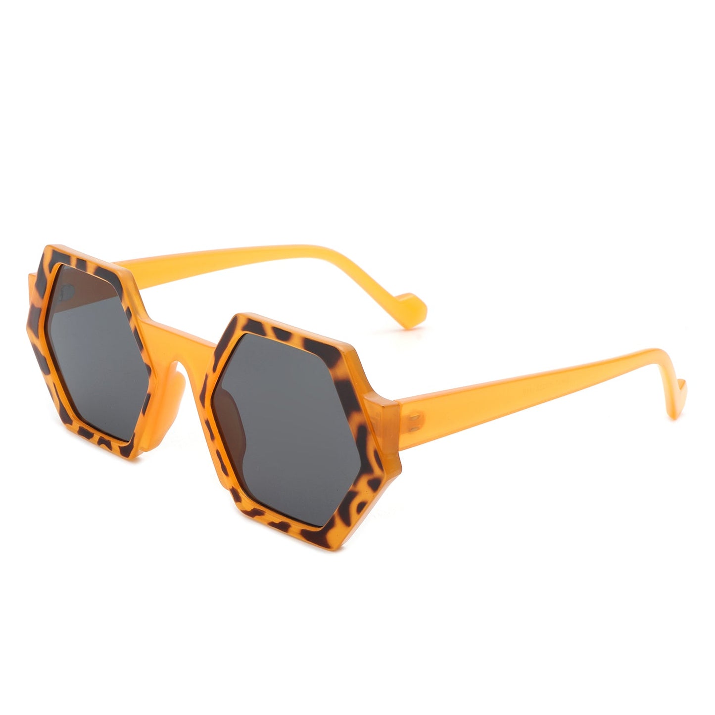 Prizma Geometric Sunglasses